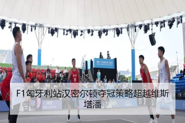 xiong-ya-li-zhan-han-mi-er-dun-duo-guan-ce-lve-chao-yue-wei-si-ta-pan-2-353.jpg